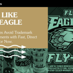 flylikeaneagle298192858.jpg
