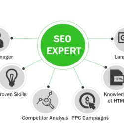 seo-expert-skills1178306020.jpg
