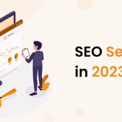 seo-services-in-20231944447825.jpg