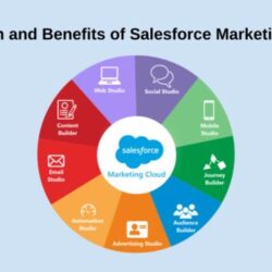 top-trends-shaping-salesforce-marketing-cloud-strategies-in-20241197187545.jpg
