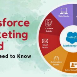 trends-in-salesforce-marketing-cloud-what-you-need-to-know203552719.jpg